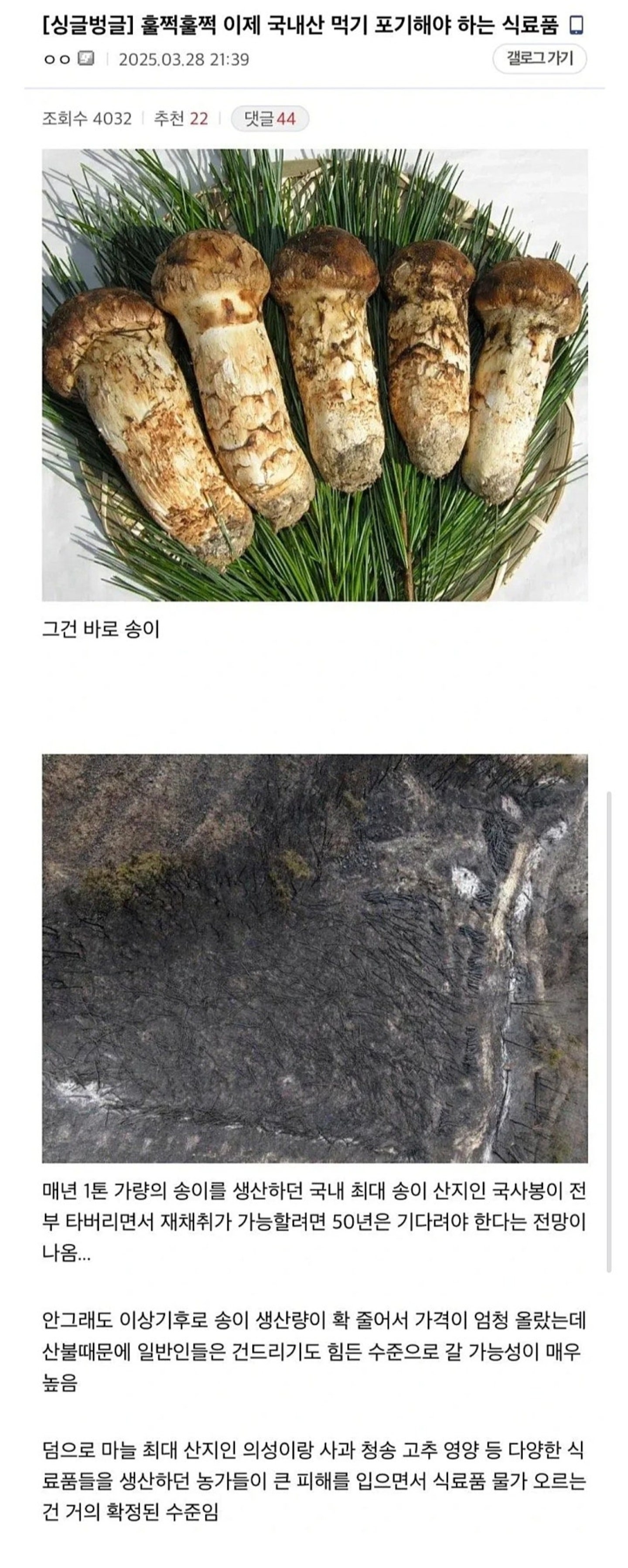 Screenshot_20250329_134400_NAVER.jpg