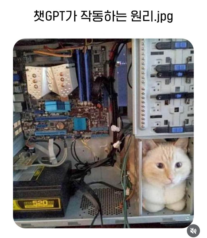 31797737_d5IHRoS7_DanNkGuZLqlUfyhJ.jpg