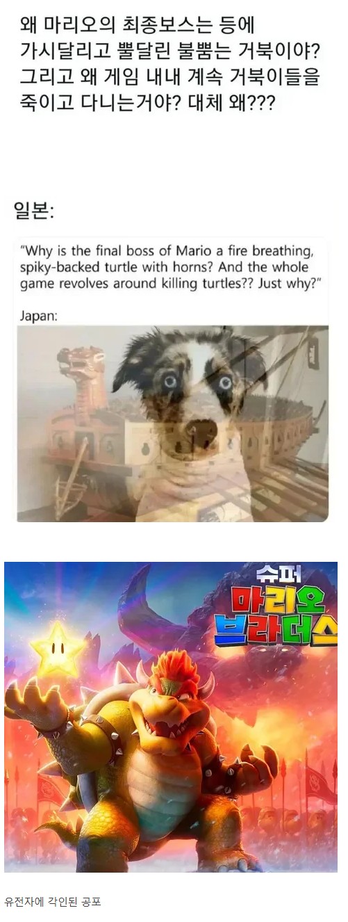 2049911581_NgxOrqA0_QfLFs2BzY3RTZXC6.jpg