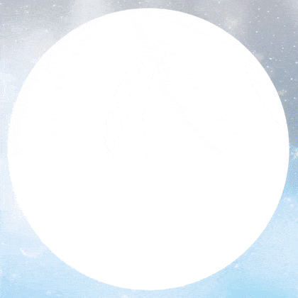 222.gif