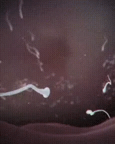 aoegame－20230117－235126－000.gif