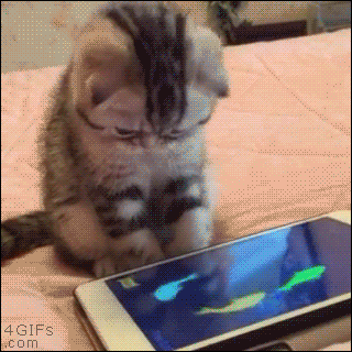 21602A4B57AA54B93A.gif