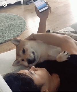 1602026710.gif