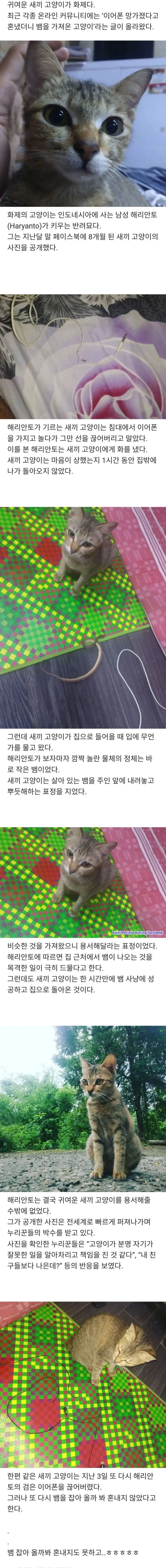 978271687_VBIGmjSE_JQrNduTDR4px0M7Z.jpg.webp