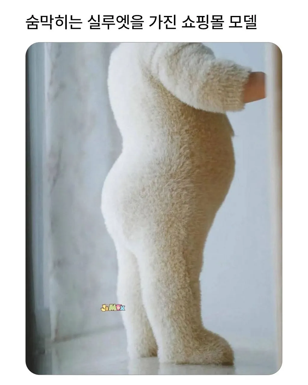 다운로드-33.jpeg.webp