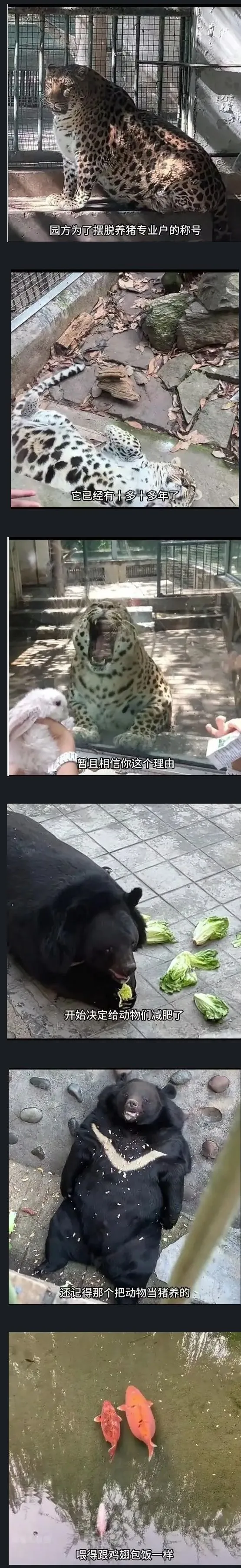 2950081867_9NtjdvEi_seoAL72yaW5COg0D.jpg.webp