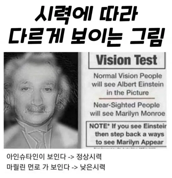 1785054590_N2yaLU5b_rCz0Ktf16FSM9nRG.jpeg.webp
